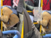 一名男子在 TransMilenio 脫下褲子大小便 – Publimetro Columbia