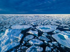 新的預測提供了北極海冰消失的早期預警