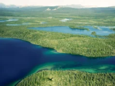 簡單的水轉移可以將北極農田變成碳庫