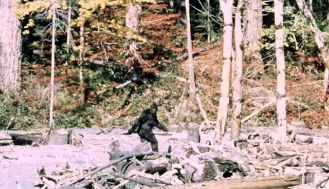 bigfoot-1.jpg