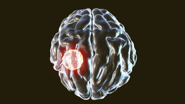 三分之一的人腦內藏殺蟲開關:發現弓形蟲感染機制