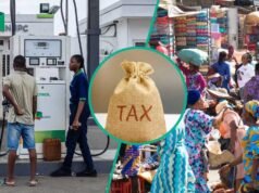 Tinibu 稅費調整、燃油價格上漲 2026 年 1 月尼日利亞業務增長放緩