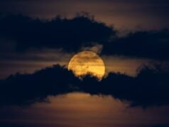 2025 年 3 月滿月:何時、何地以及如何觀看蟲月