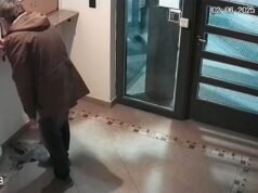 影片:前州長之子因「麵疙瘩」被解僱