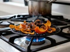 爐子上的橘子皮:改善家居環境的家庭技巧