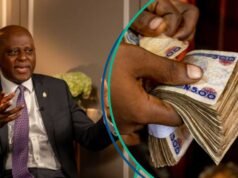 CBN聯手,2017年生態貨幣領先