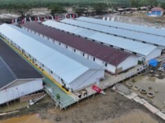 PTPP 啟動了亞齊關鍵基礎設施和衛生設施的復原工作