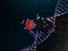 科學家發現了一種酶,可以讓癌症快速重新連接其 DNA