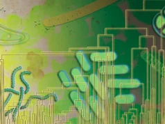 古代微生物可能在氧氣充滿地球大氣層之前 5 億年前就已經使用了氧氣