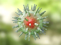 科學家發現 Epstein-Barr 病毒與多發性硬化症之間缺失的聯繫