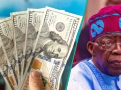 分享時間表,蒂努布表示奈拉可以用 1000 美元兌換 1 美元,希望正在上升