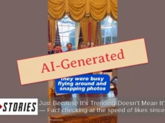 事實查核:真實影片並未顯示希拉蕊奈特對美國男子曲棍球隊來說是“致命”