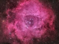 今年情人節單身嗎?別擔心,宇宙有一朵專屬於你的玫瑰(圖)