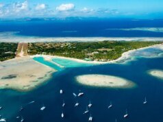 福克斯新聞生活方式通訊:2026 年 2 月 3 日至 10 日