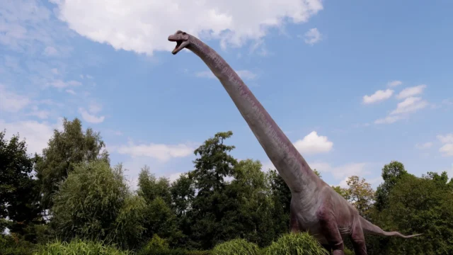 gigantic-herbivorous-dinosaur-brachiosaurus.webp.webp