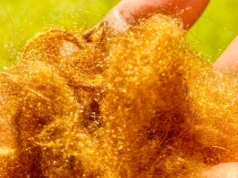 2000年前丟失的傳說中的金衣被找回來