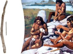 考古學家在希臘發現了最古老的木製工具,據信已有 43 萬年的歷史。