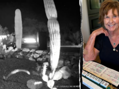 南希·格思裡的案例:鄰居的環形攝影機顯示可能的新證據