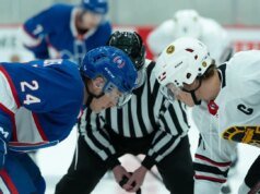 谷歌稱男孩水族館和同性戀曲棍球運動員的搜索量有所上升