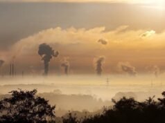 林業部:2025年第110號總統令加強國家碳治理