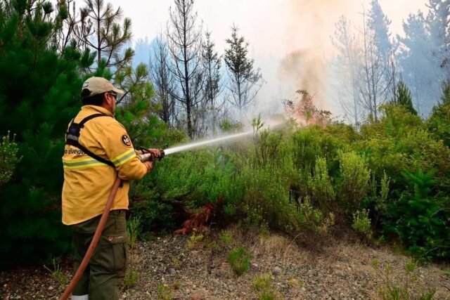 incendio-chubut-540518-214502.jpg