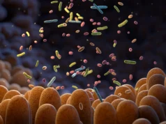 腸道細菌可以感知它們的環境,這對您的健康至關重要