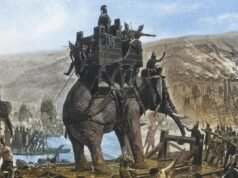 這塊骨頭可能是漢尼拔戰象從歐洲神話般經過的證據