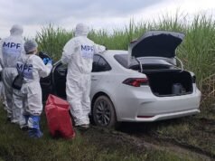 經過幾天在法麥拉的密集搜尋,他們發現商人路易斯·布埃索還活著