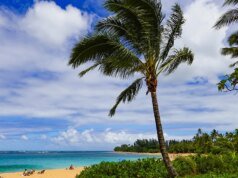 考艾島翡翠公主號遊輪附近的港口飛行員從船上墜落,向落水男子發出警告