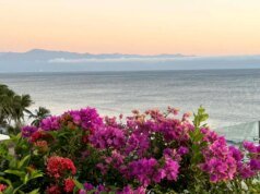 由於卡特爾暴力,美國遊客仍滯留在墨西哥蓬塔米塔地區。