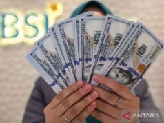 中國政府建議減少美國債券引發盧比走強