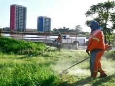 市政府在阿吉雷公園進行了廣泛的除草行動