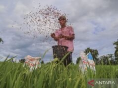 農業部準備《肥料補貼管理總統令》衍生法規