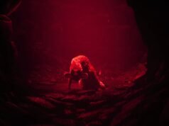 Reanimal 的創作者透露了這款遊戲的名字是如何得來的