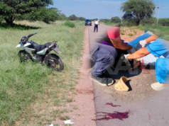 7號公路上與野豬相撞後嚴重的摩托車手