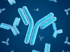 科學家開發出有前景的抗體來預防 Epstein-Barr 感染,EHealthworld