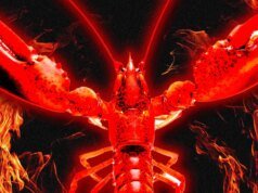 我滲透了 Moltbook,這是一個純人工智能的社交網絡,不允許人類參與