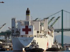 川普駐格陵蘭島大使傑夫·蘭德里回應尼爾森總理對格陵蘭島的評論。