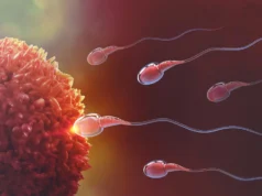 這項突破最終可能開啟男性避孕的大門