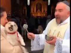 從祝福到詛咒:神父用狗嚇人,他的反應瘋傳
