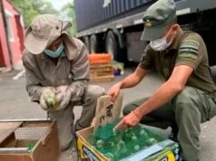 他們救出了一輛開往布宜諾斯艾利斯的卡車裡的 500 多隻動物