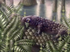 這種古老的動物是地球上最早吃植物的動物之一