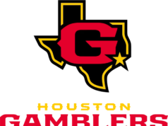 關於休斯頓您需要了解的 5 件事