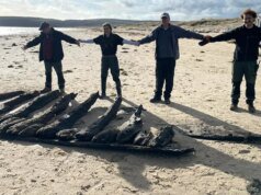 斯塔德蘭海灘冬季暴風雨後沉沒的 17 世紀船重新浮出水面