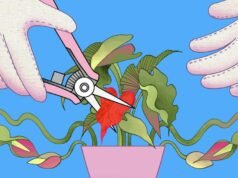 我為了喜劇事業而墮胎。我還在等待職業生涯