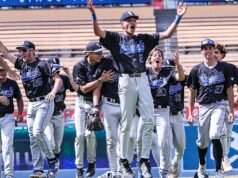 準備:看看賽季初城市賽區的頂級棒球隊