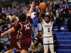 關於 IHSA 男子籃球州季後賽的 12 個想法