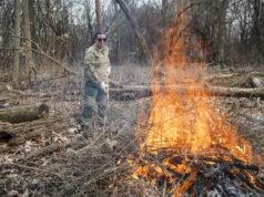 蔭影水族館的反情人節活動讓憤世嫉俗者和單身人士在大自然中減壓