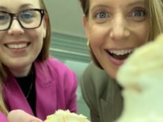 我們吃了太空蘑菇並倖存下來講述這個故事