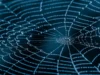 這個分子小技巧使蜘蛛絲幾乎牢不可破
